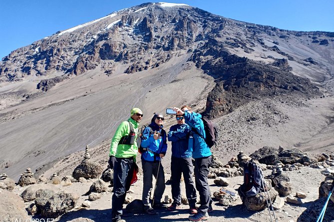 Kilimanjaro Experience 7 Days Lemosho Route - Itinerary Breakdown