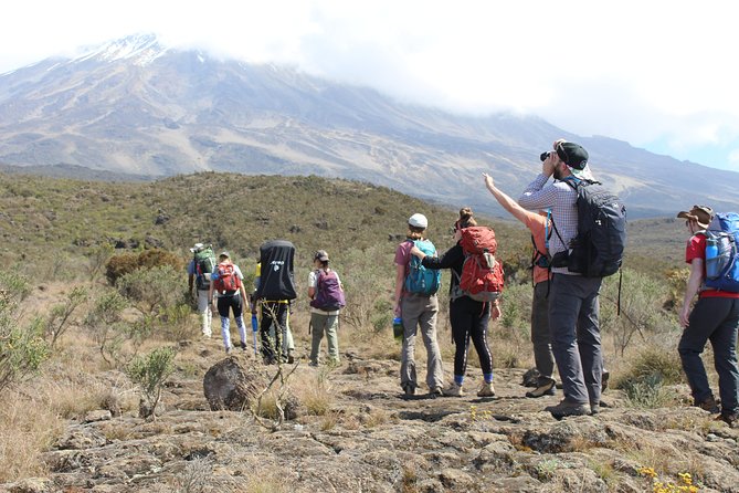 Kilimanjaro Lemosho Route 7 Days - Accommodation Options