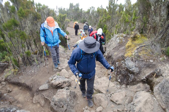 Kilimanjaro Lemosho Route 7 Days - Meal Plans and Dietary Needs