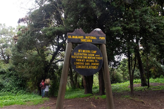Kilimanjaro Lemosho Route 7 Days - Important Health Considerations
