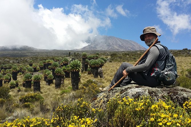 Kilimanjaro Marangu Route Day Tour - Inclusions