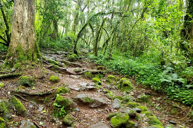 Kilimanjaro Private 2 Days Hiking Tour - Booking and Cancellation Policy