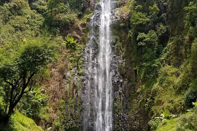 Kilimanjaro Private Day Hike Materuni Waterfall and Hot Spring - Meeting and Pickup Details
