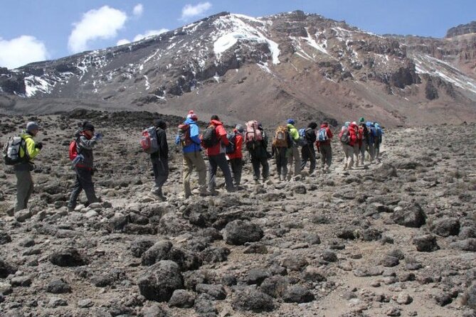 Kilimanjaro-Trekking Rongai Route 7 Days / 6 Nights - Pickup and Transportation Details