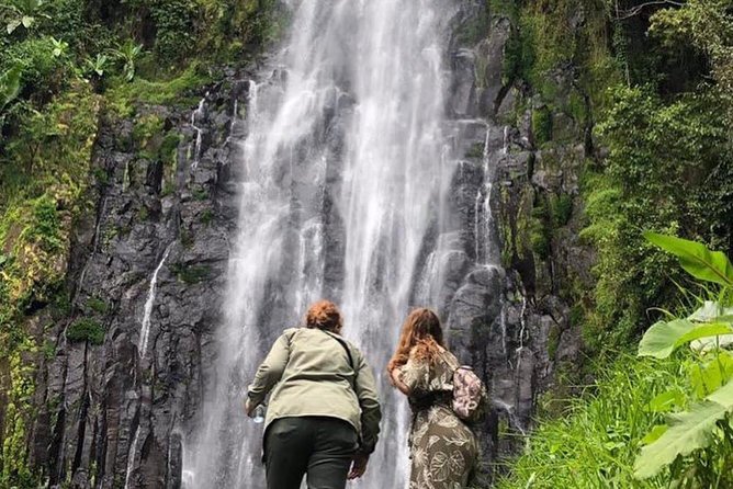 Kilimanjaro Waterfalls Hike & Moshi Hot Springs Day Trip Tour - Key Points