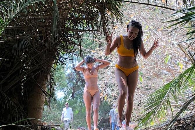Kilimanjaro Waterfalls Hike & Moshi Hot Springs Day Trip Tour - Highlights of the Day Trip
