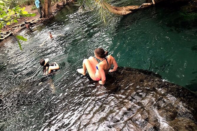 Kilimanjaro Waterfalls Hike & Moshi Hot Springs Day Trip Tour - Transportation and Pickup Details
