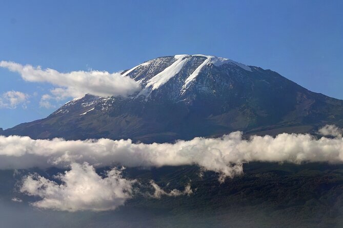 Kilimanjaro Waterfalls Hike & Moshi Hot Springs Day Trip Tour - Cancellation and Booking Information