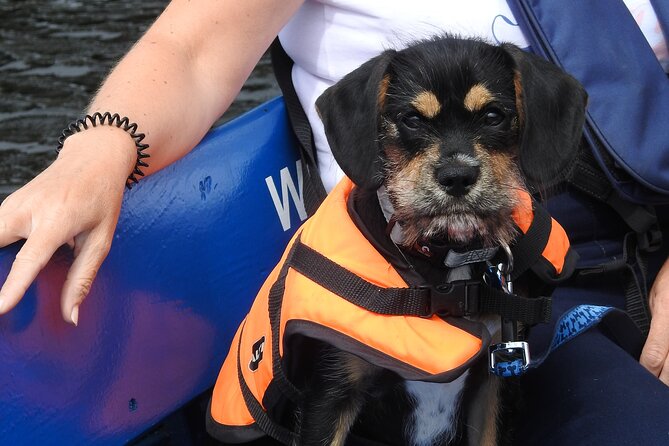 Kilkenny Boat Trip - Practical Information for Visitors