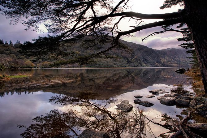 Kilkenny, Wicklow Mountains, Glendalough, Sheep Dog Trials, Day Trip From Dublin - Discovering Glendaloughs History
