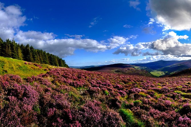 Kilkenny, Wicklow Mountains, Glendalough, Sheep Dog Trials, Day Trip From Dublin - Tour Duration and Inclusions