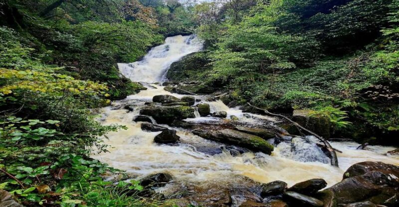 Killarney Area Half Day Tour - Key Points