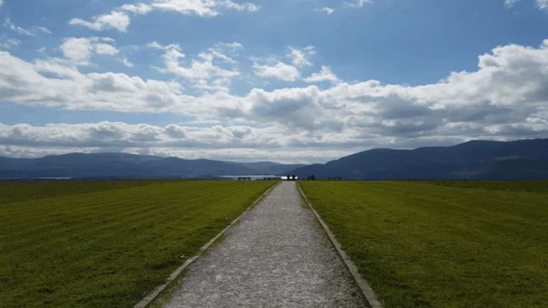 Killarney Area Half Day Tour - Tour Experience