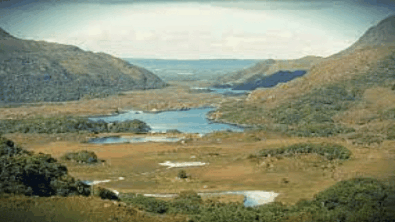 Killarney Area Half Day Tour - Cancellation and Payment Policy