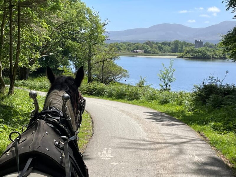 Killarney Carriage Tours National Park and Lakes - Key Points