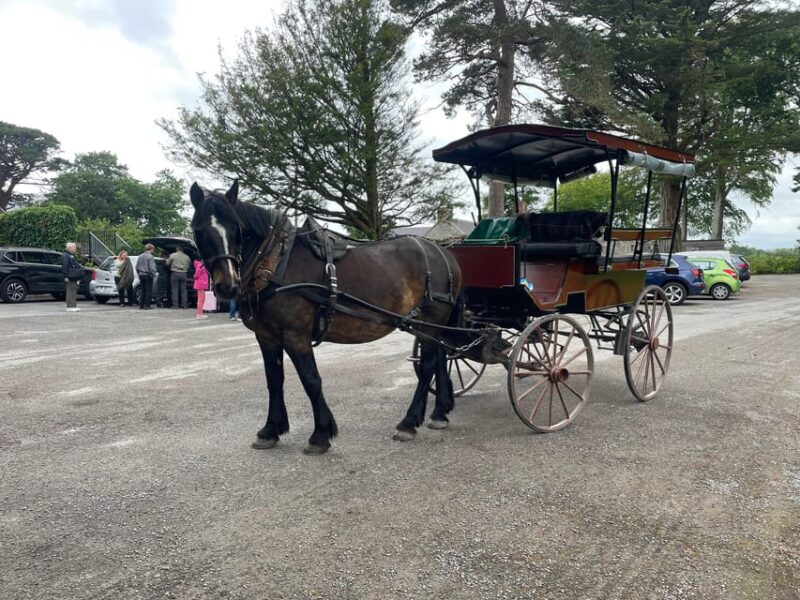 Killarney Carriage Tours National Park and Lakes - Booking Information