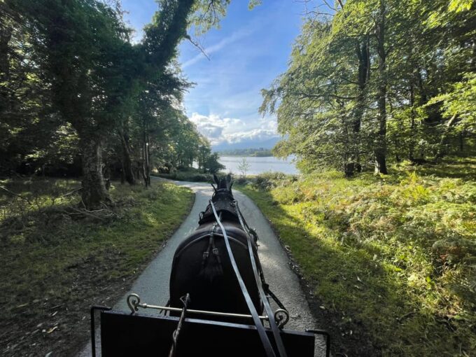 Killarney Carriage Tours National Park and Lakes - Natural Beauty and Wildlife