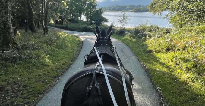 Killarney Carriage Tours National Park and Lakes - Flexible Cancellation Policy