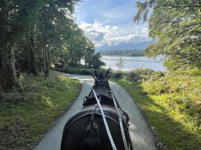 Killarney Carriage Tours National Park and Lakes - Frequently Asked Questions