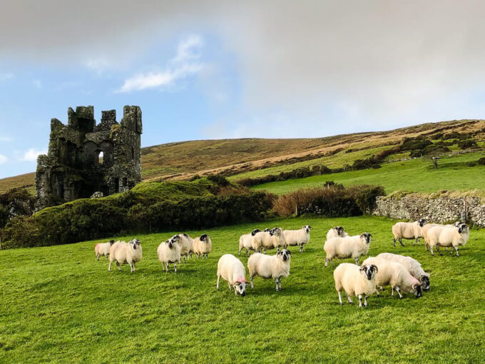 Killarney: Dingle Peninsula Photo and Sightseeing Tour - Photography Opportunities and Guidance