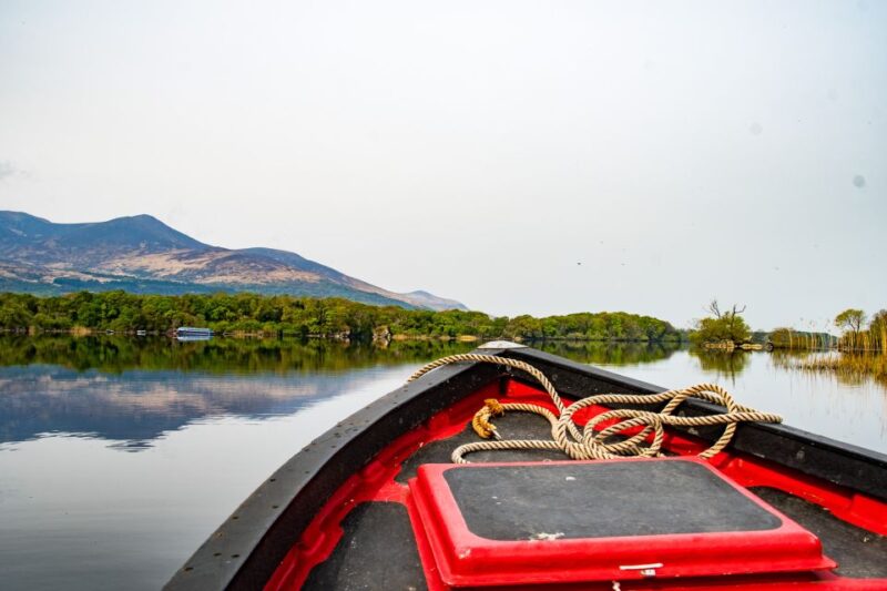 Killarney: Guided Boat Tour to Innisfallen Island - Wildlife and Scenery