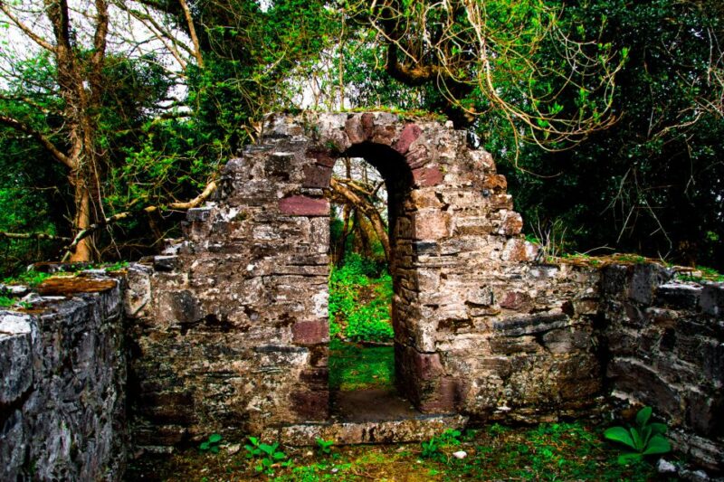 Killarney: Guided Boat Tour to Innisfallen Island - Participant Information and Accessibility