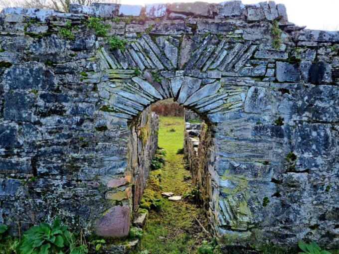 Killarney: Guided Boat Tour to Innisfallen Island - Exploring Innisfallen Island