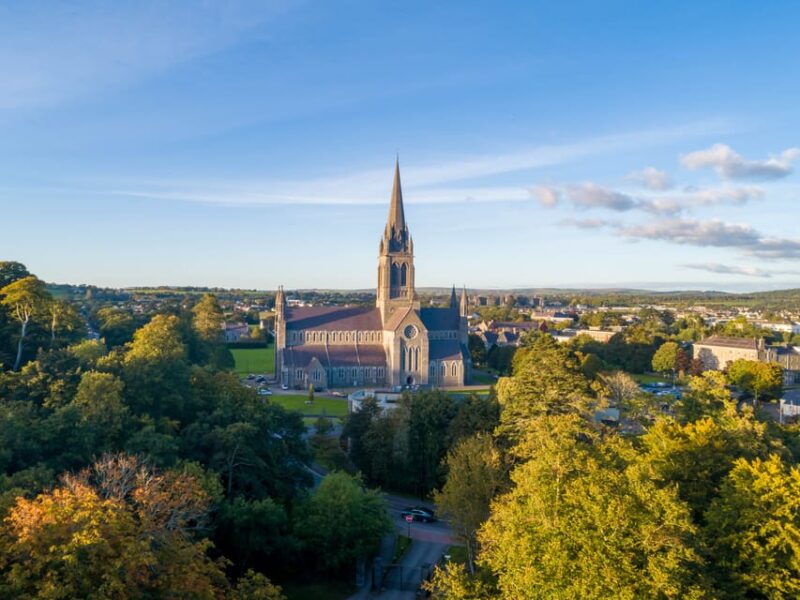 Killarney: Guided Tour With Afternoon Tea - Food and Beverage
