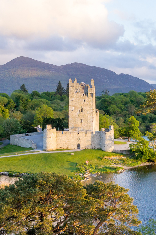 Killarney: Guided Tour With Afternoon Tea - Customer Feedback
