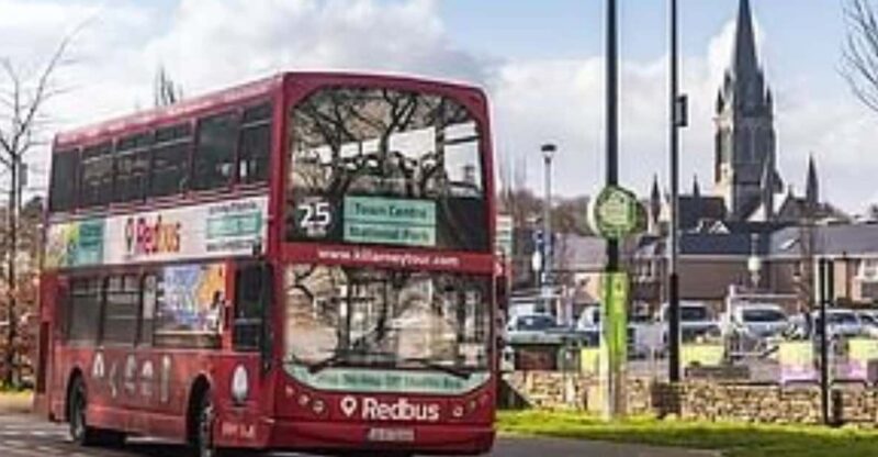 Killarney: Hop-On Hop-Off Bus to Killarney National Park - Accessibility and Experience