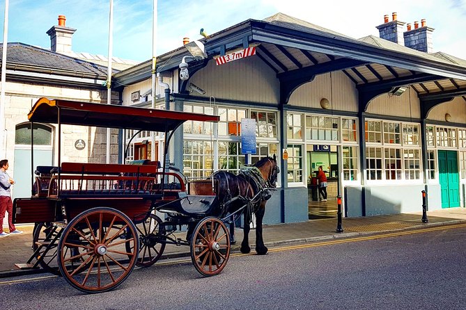 Killarney Jaunting Car & Lily of Killarney Watercoach Tour - Learning About the Copper Mines