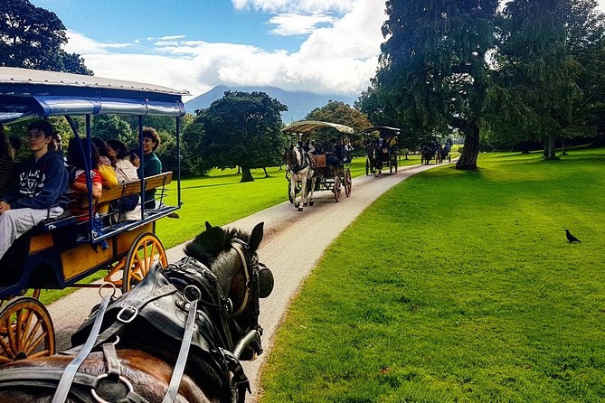 Killarney Jaunting Car & Lily of Killarney Watercoach Tour - Cruising the Lily of Killarney