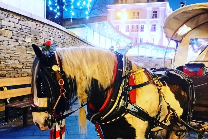 Killarney Jaunting Car Tour - Meeting and Pickup