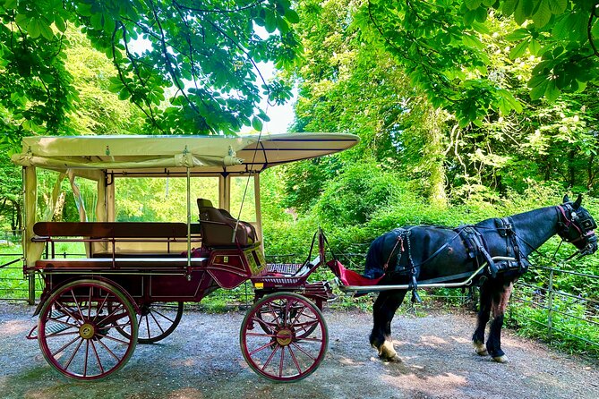 Killarney Jaunting Car Tour - What To Expect