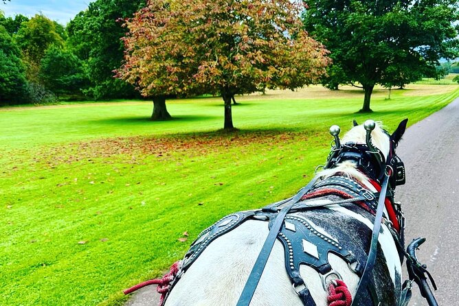 Killarney Jaunting Car Tour - Cancellation Policy