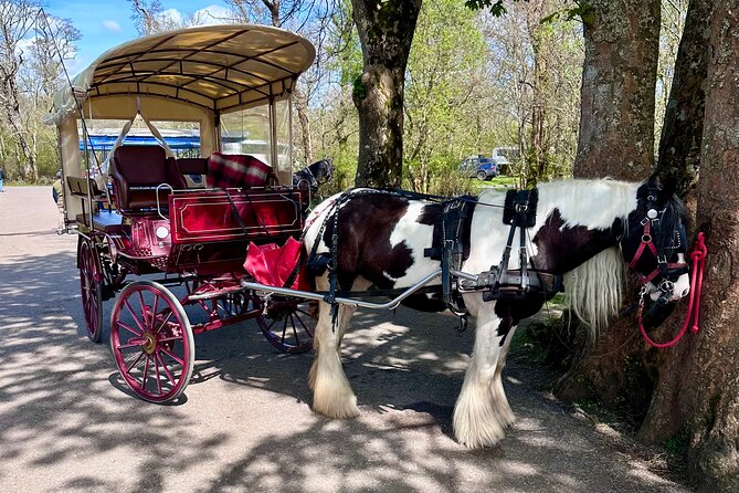 Killarney Jaunting Car Tour - Natural Beauty of Killarney