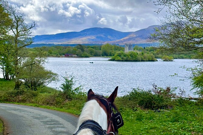 Killarney Jaunting Car Tour - Suitable Group Sizes