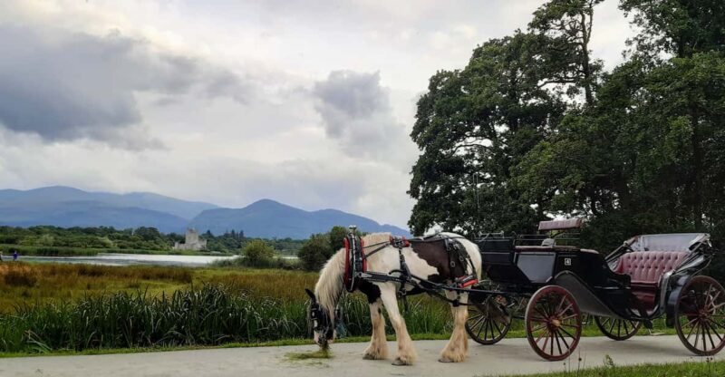 Killarney Jaunting Car Tour - Key Points