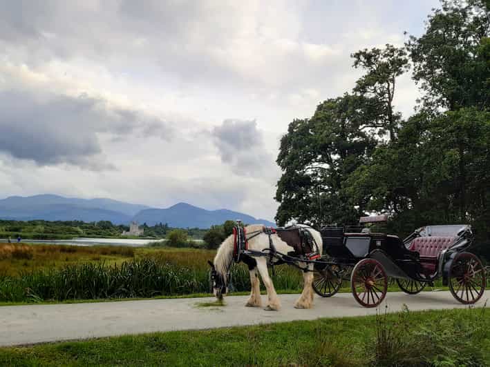 Killarney Jaunting Car Tour - Tour Highlights