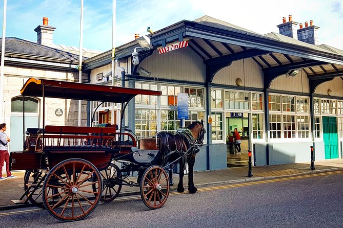 Killarney Jaunting Car Tour With Craft Brewery Beer & Pizza - Traveler Reviews and Feedback