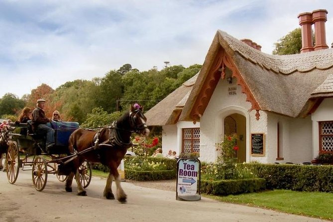 Killarney Jaunting Car Tour With Craft Brewery Beer & Pizza - Carriage Ride and Sights