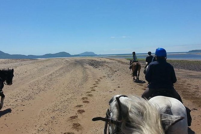 Killarney National Park Horseback Ride. Co Kerry. Guided. 2 Hours. - Reviews and Experiences