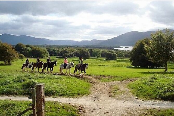 Killarney National Park Horseback Ride. Co Kerry. Guided. 3 Hours. - Equipment and Requirements