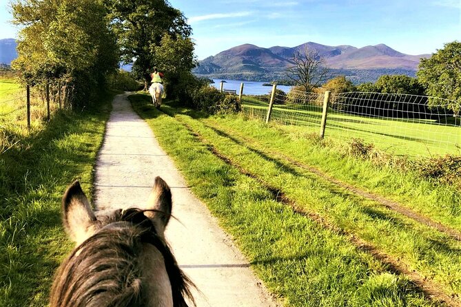 Killarney National Park Horseback Ride. Co Kerry. Guided. 3 Hours. - Accessibility
