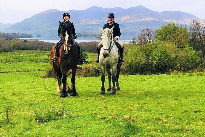 Killarney National Park Horseback Ride. Co Kerry. Guided. 3 Hours. - Cancellation Policy
