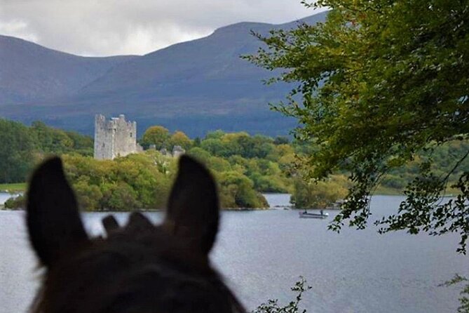 Killarney National Park Horseback Ride. Co Kerry. Guided. 3 Hours. - Guest Reviews