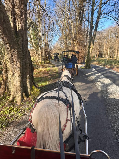 Killarney National Park Tour - Key Points