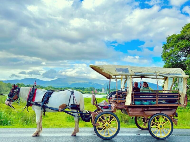 Killarney National Park Tour - Tour Experience and Itinerary