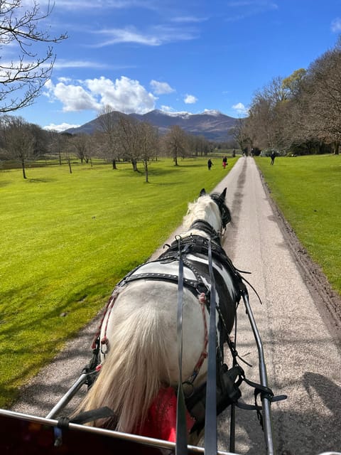 Killarney National Park Tour - Meet the Tour Guide