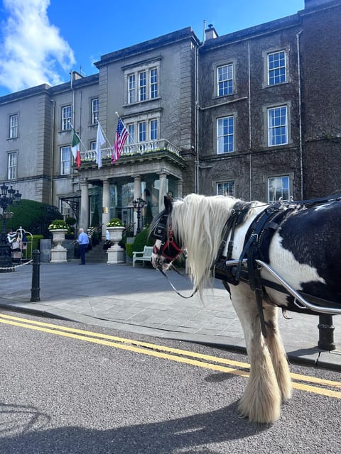 Killarney National Park Tour - Book Your Tour Now